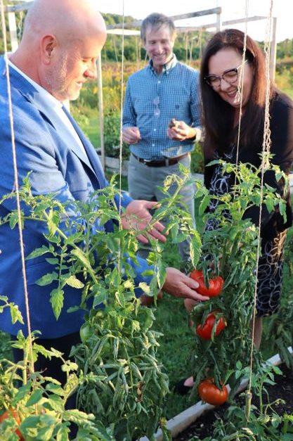 United Way Niagara CEO Frances Hallworth, Niagara College President Sean Kennedy, and Niagara College Vice President, Research and External Relations Dr. Marc Nantel explore the final crops grown at the United Way Niagara Garden Hub at NC’s Daniel J. Patterson Campus in Niagara-on-the-Lake.