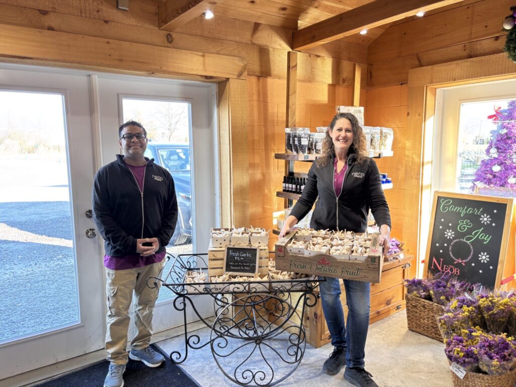 Making a Difference, One Bulb at a Time- How neob Lavender Supports Niagara 2