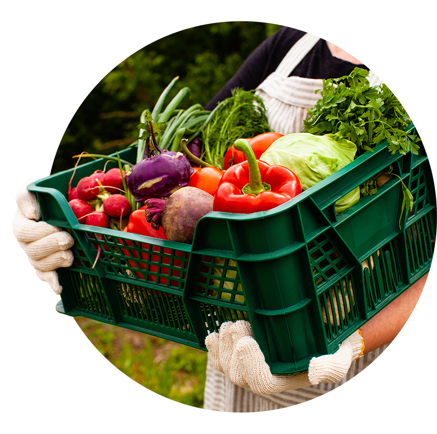 basket of fresh produce